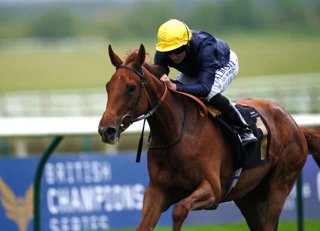 Infinite Cosmos is among Al Asifah's rivals