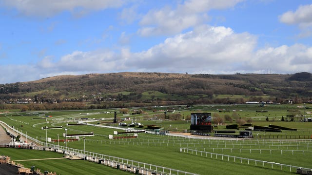 Fortunes will be won and lost at Cheltenham this week