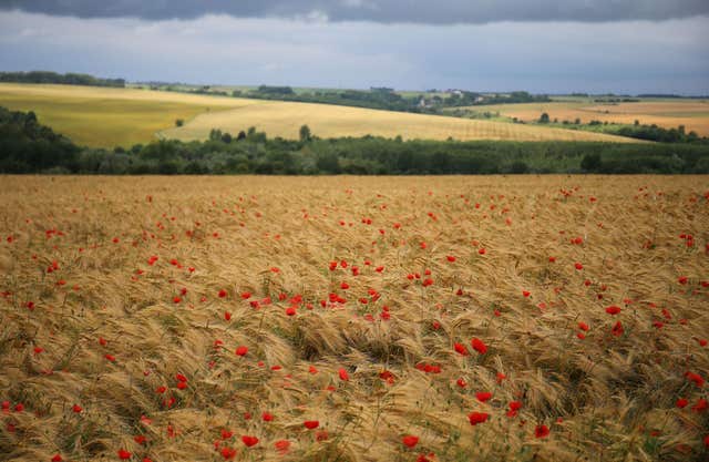 Somme 100th anniversary