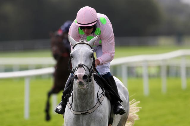 N’golo got off to a winning start for Willie Mullins
