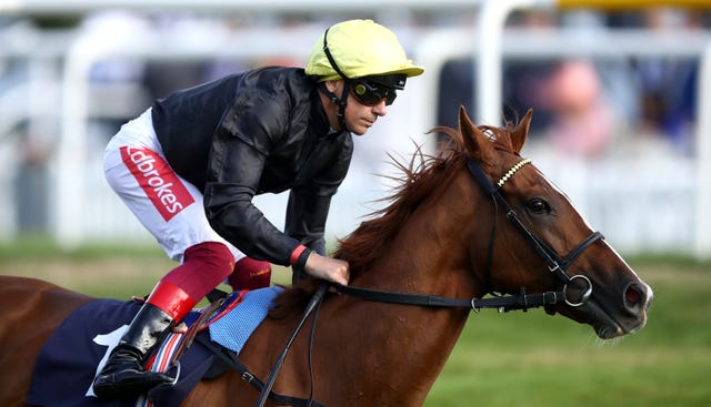 Stradivarius drops back in trip at Newmarket