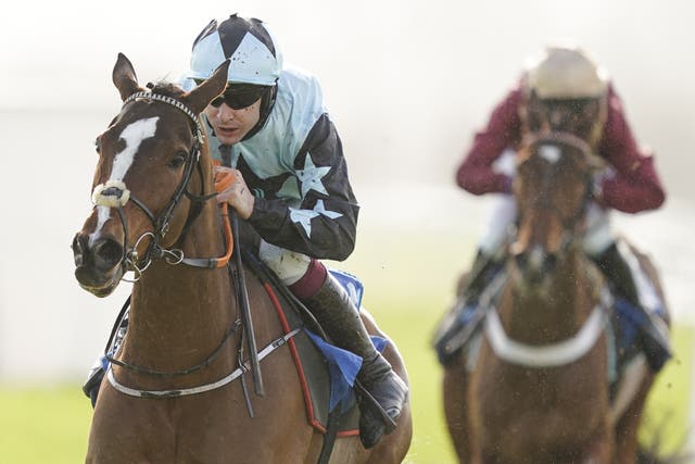 Allavina looks like a mare with a bright future for Olly Murphy