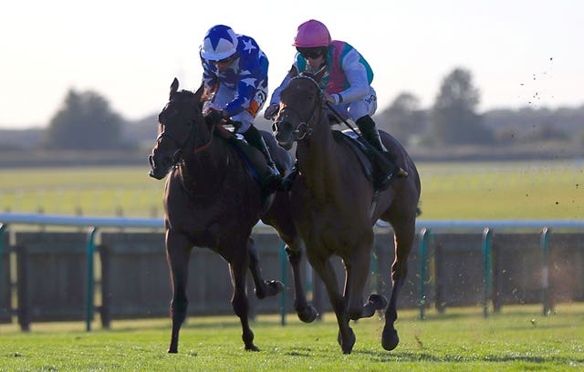 Qabala (left) makes a winning debut at Newmarket