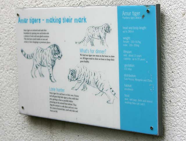 A sign outside the Amur Siberian tigers enclosure at Dublin Zoo