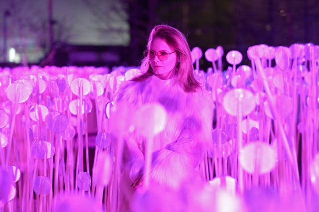 A woman walks through Entre Les Rangs, by Rami Bebawi and KANVA at Lewis Cubitt Park (Kirsty O’Connor/PA)