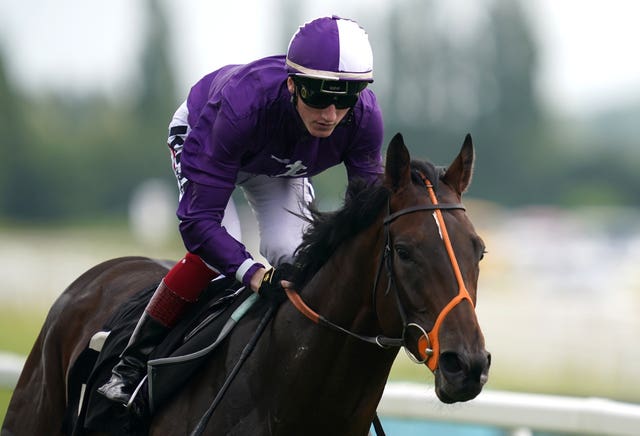 Mojo Star was the horse that set Amo Racing on their way
