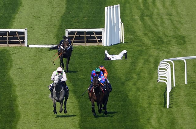 Jockey Nico de Boinville lies on the grass after Constitution Hill fell at Cheltenham
