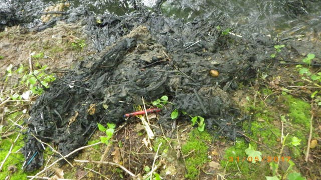 Raw sewage that was dumped into the River Great Ouse at Brackley (Environment Agency/PA)