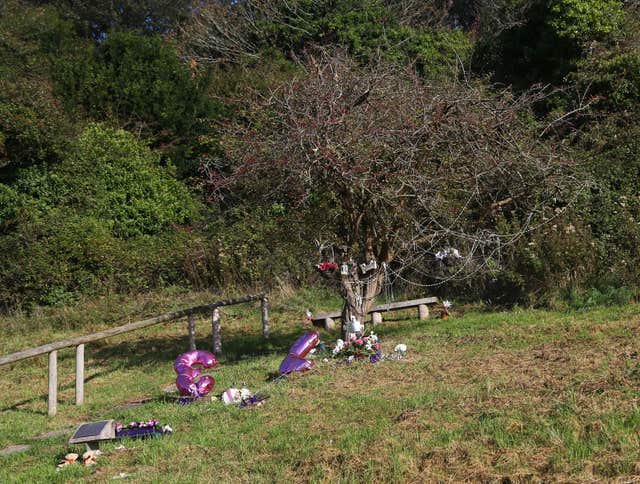 A memorial tree to Karen Hadaway and Nicola Fellows in Wild Park