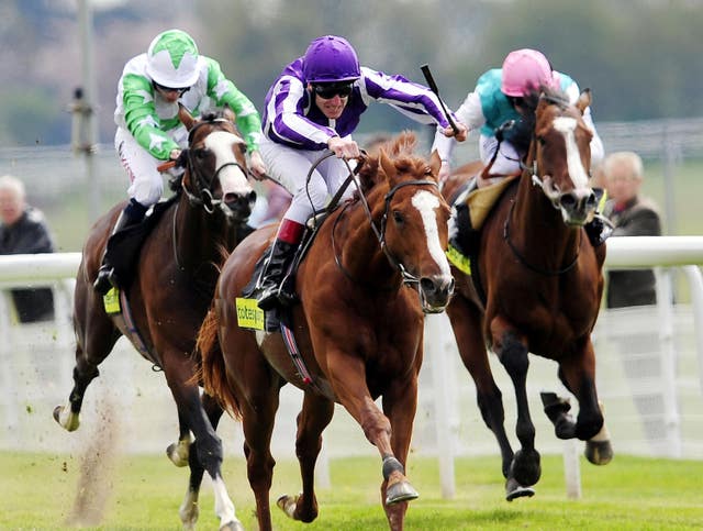 Cape Blanco was Aidan O'Brien's last Dante winner in 2010
