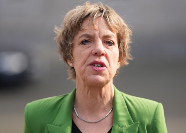 Labour leader Ivana Bacik