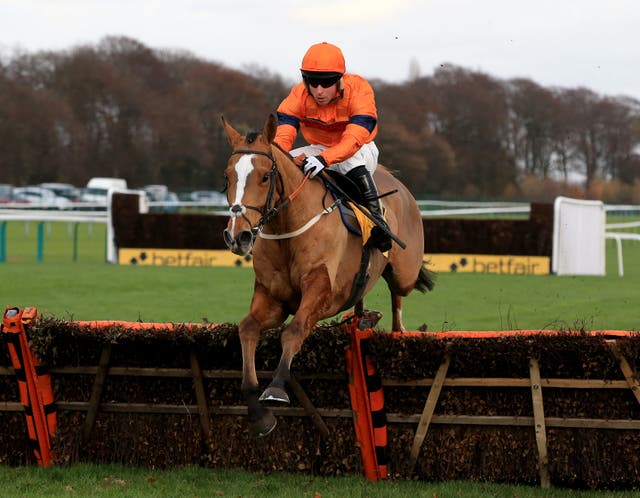 Sam Spinner switches back to hurdles