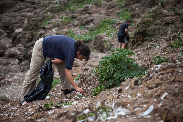 Experts clearing Mullion Island