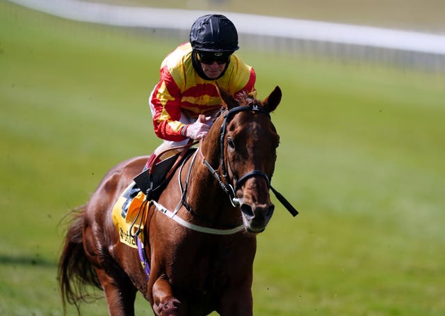 Sir Ron Priestley and Norton in the Jockey Club Stakes