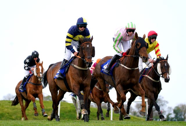 Ballyboker Bridge (left) won the La Touche Cup and was retired
