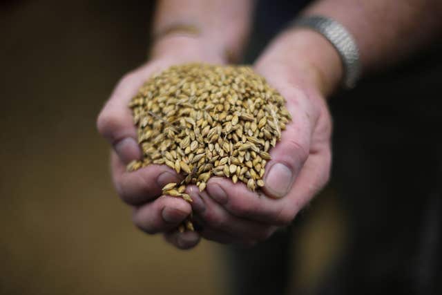 Handful of grain