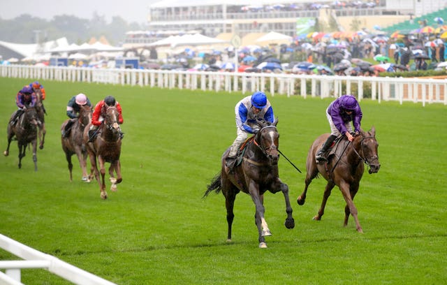 The Grand Visir provided Ian Williams with a breakthrough victory