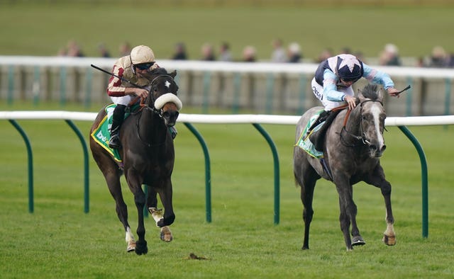 Anadora (left) in the hands of Neil Callan
