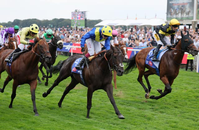 Never So Brave (centre) is a Group One winner 