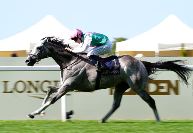 Field Of Gold excelled at Royal Ascot