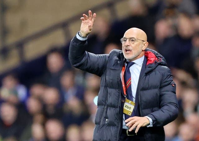 Spain coach Luis de la Fuente