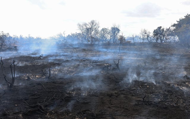 Smoke rises at the scene of the wildfire at Dunwich Heath, near Leiston