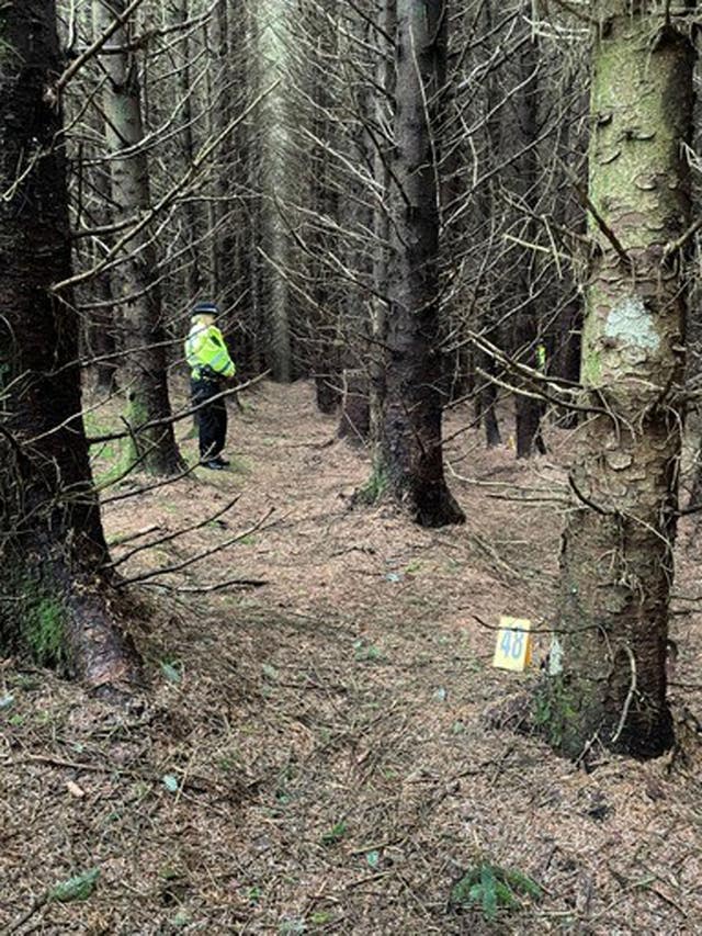 Limefield Woods