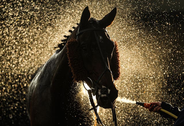 A horse is hosed down at Warwick Racecourse in early November. The racing calendar also suffered severe disruption during an unprecedented year for sport