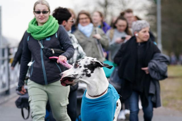 Crufts Dog Show – Day One