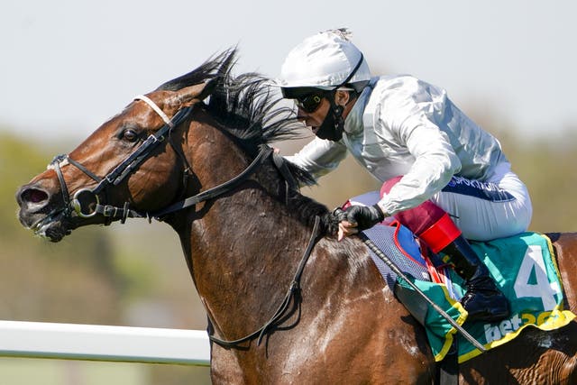 Palace Pier contests the QEII Stakes