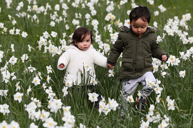 Japanese Hanami festival in Dublin