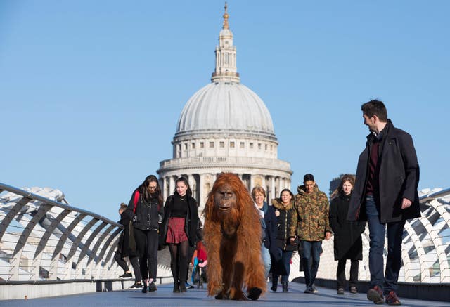 The animatronic orangutan joined Londoners in the capital (David Parry/PA)