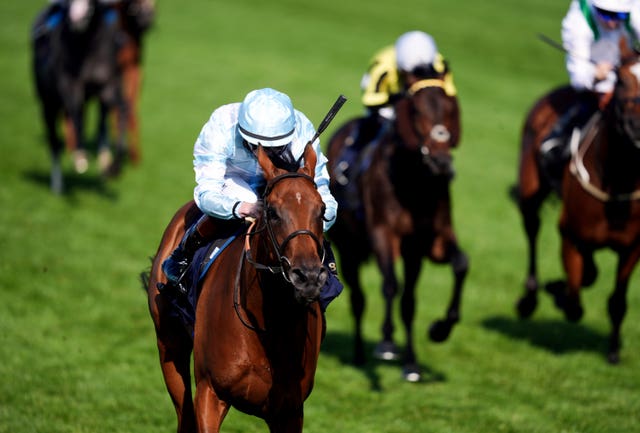 Amiloc thrived once again at Royal Ascot