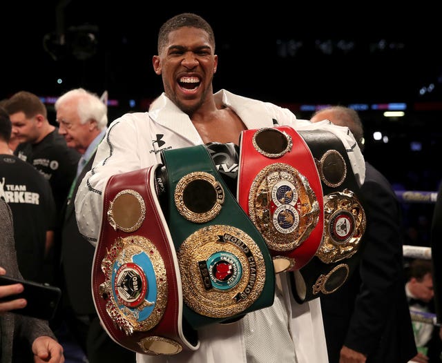 Anthony Joshua, pictured, has risen to prominence in Fury's absence (Nick Potts/PA)