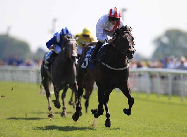 Invincible Army shone at York last week
