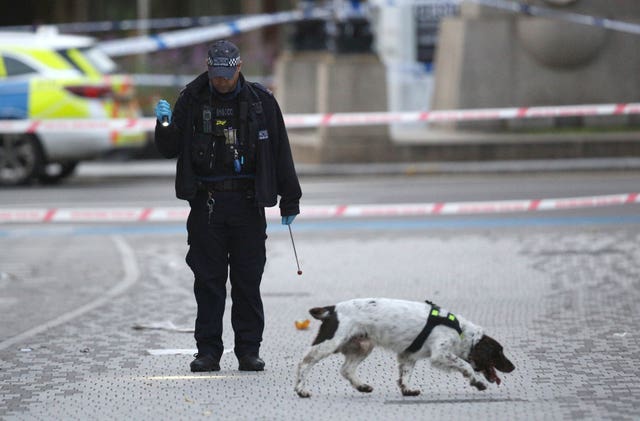 Police dog on scene