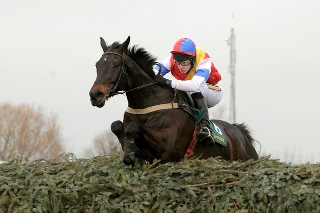 Josh Guerriero aboard Christy Beamish in the 2008 Fox Hunters' Chase