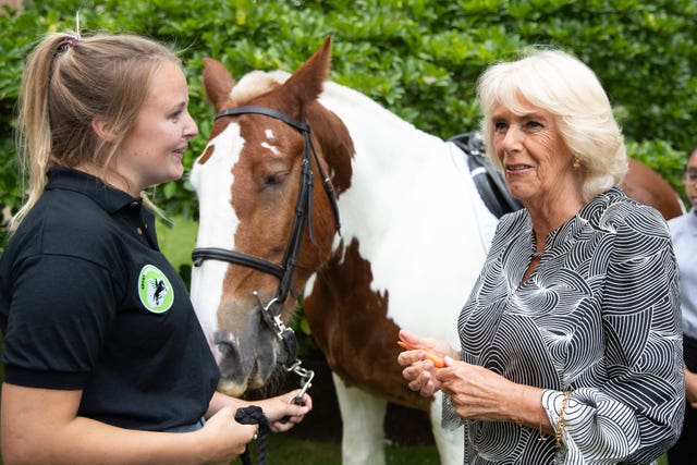 Camilla at Clarence House