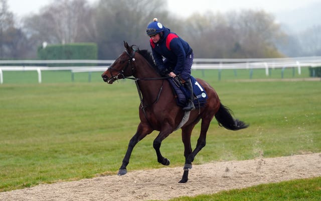 Brighterdaysahead on the gallops at Cheltenham