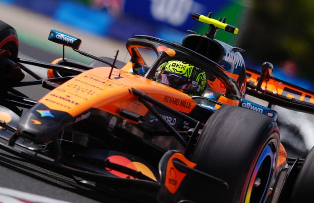 World champion Lando Norris in action at the Hungarian Grand Prix