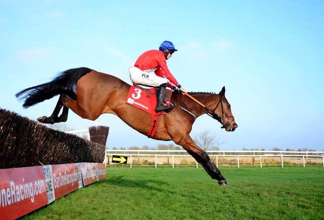 Envoi Allen's jumping has been foot perfect to date