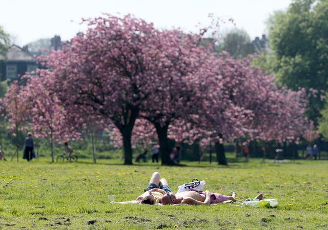 The blossom on the Stray in Harrogate also made for an enticing picture (Nigel Roddis/PA)