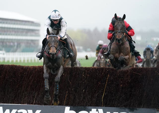L’Homme Presse (left) got the better of Ahoy Senor at Cheltenham