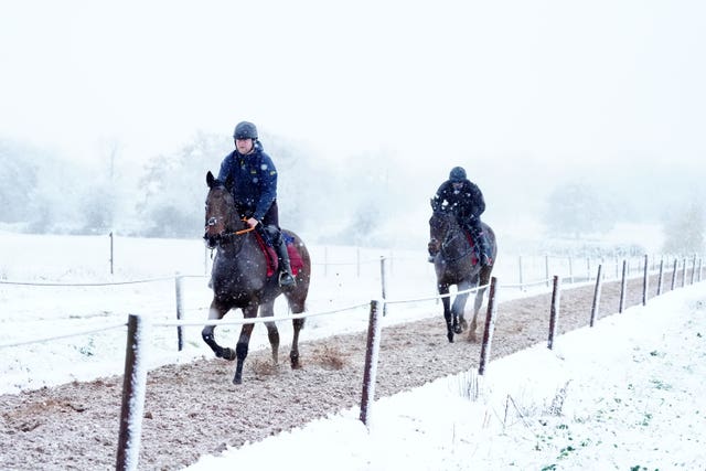 Horses on the gallops at Sam Drinkwater’s Granary Stables, Strensham, Worcestershire