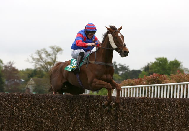 Step Back was a wide-margin winner of the bet365 Gold Cup last term