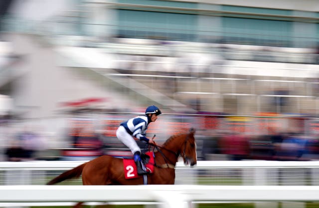 New Pursuit gave Benoit de la Sayette his first winner at the iconic course