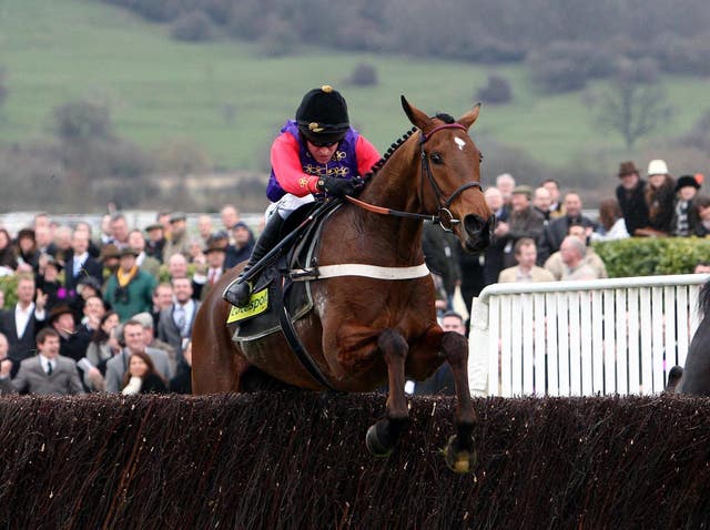 Barbers Shop in racing action