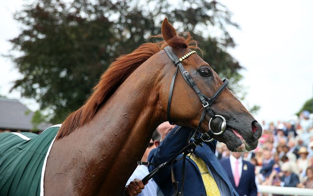 Stradivarius has been a magnificent servant to connections