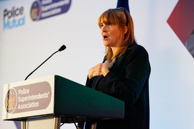 Policing and Crime Minister Sarah Jones