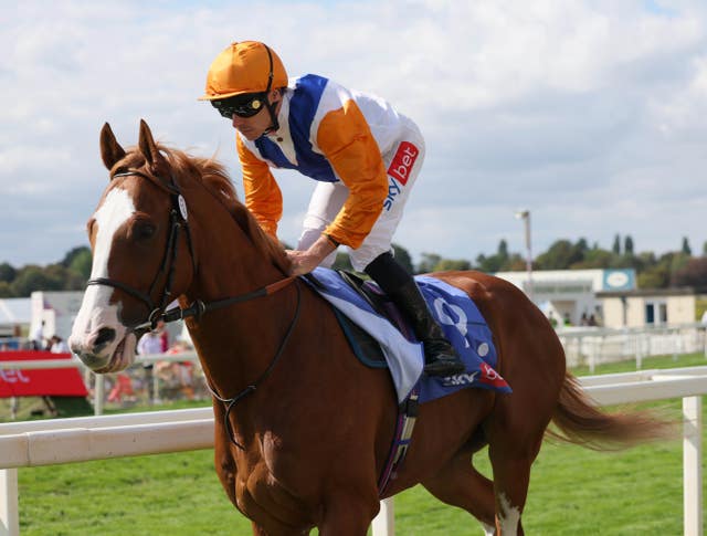 Ten Bob Tony finished a gallant second